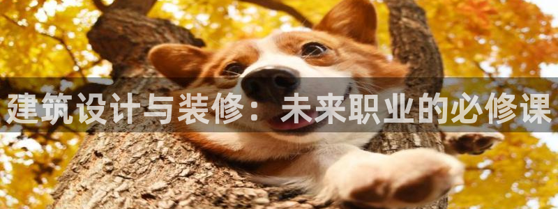 顺盈娱乐痛333OO