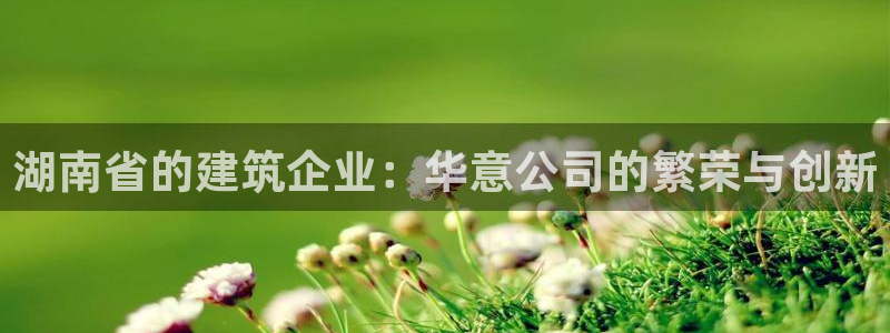 顺盈娱乐代理怎么样