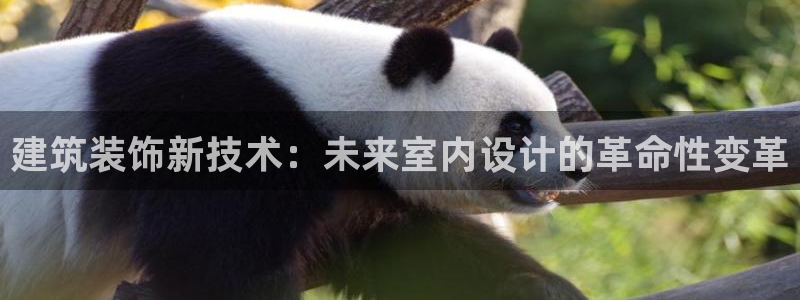 顺盈娱乐是什么意思