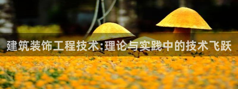 顺盈娱乐李333OO