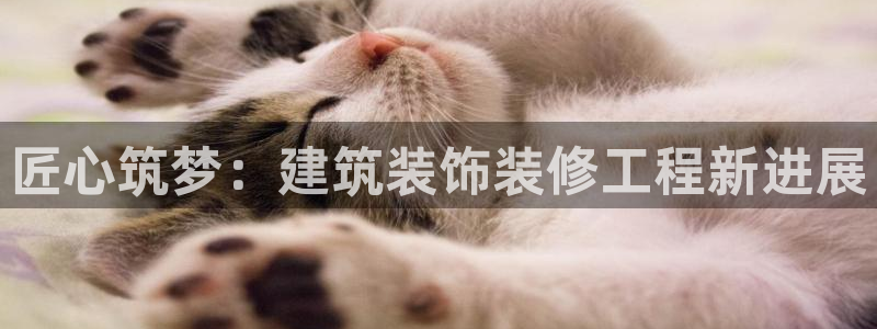 顺盈2娱乐游戏开发商