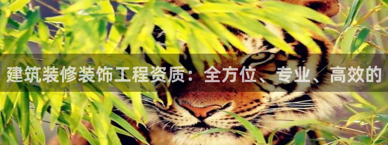 顺盈娱乐主管去判官333OO