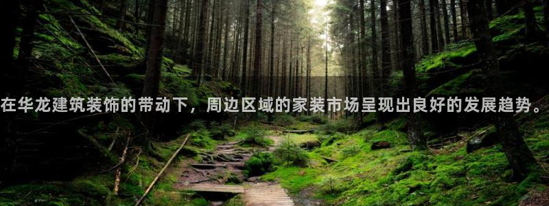 顺盈娱乐平台官网