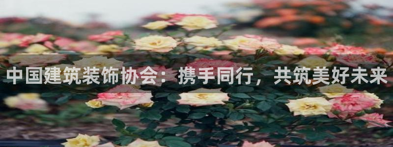 清远顺盈娱乐公司实习