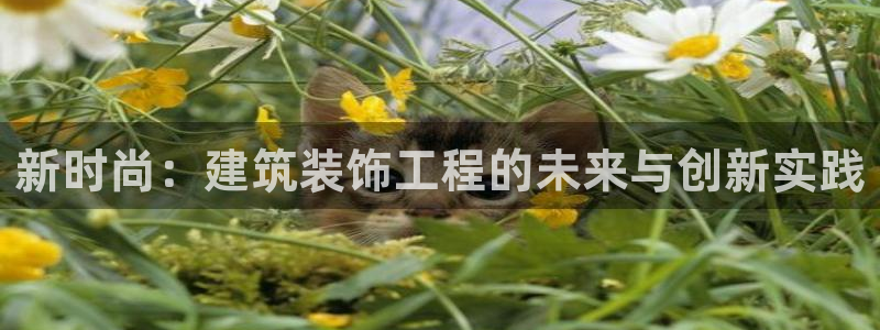 顺盈娱乐开户注册