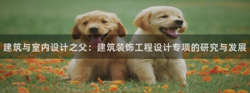 顺盈娱乐注册q779O3唐老鸭