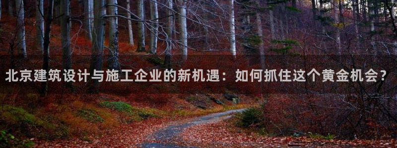 顺盈娱乐在线开户怎么样