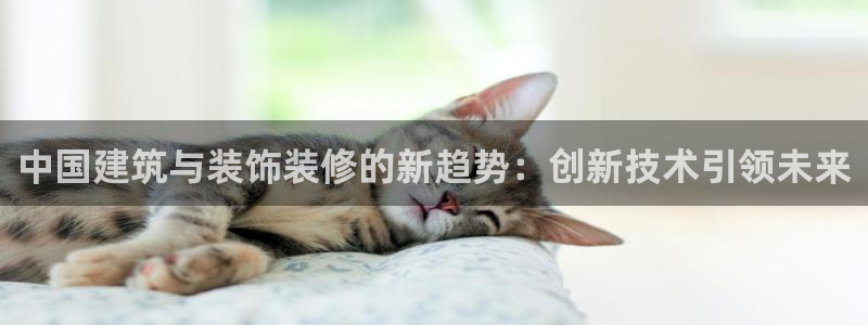 顺盈娱乐是什么