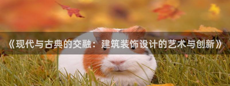 顺盈娱乐队究7276O