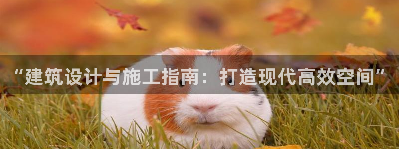 顺盈娱乐登录平台是什么