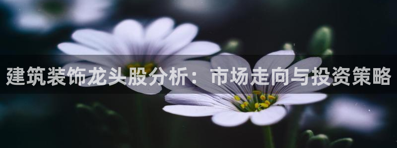 顺盈时代广场娱乐项目