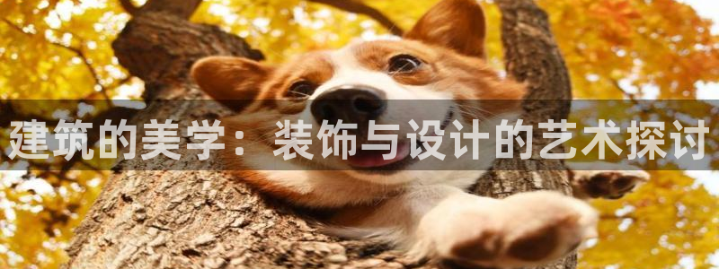 顺盈娱乐主管吉判官333OO