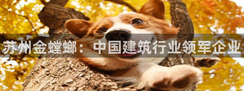 顺盈娱乐主管刘判官333OO