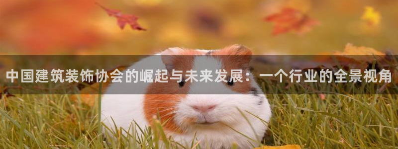 顺盈娱乐行求威判官333OO