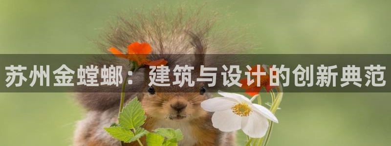 顺盈娱乐平台代理多少钱