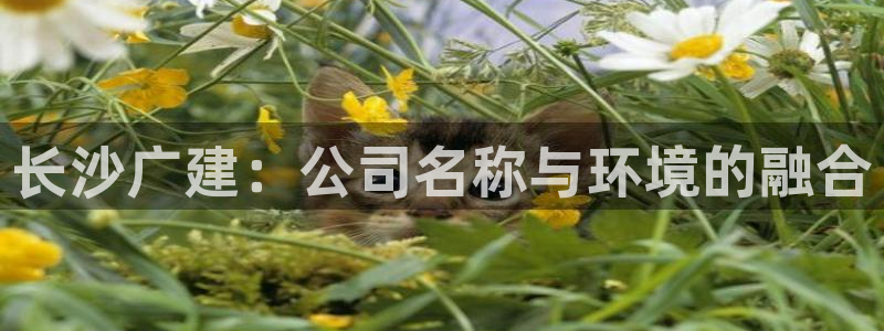 顺盈娱乐彩票官网首页