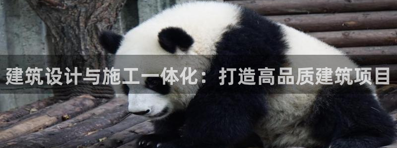 顺盈娱乐棋牌怎么样