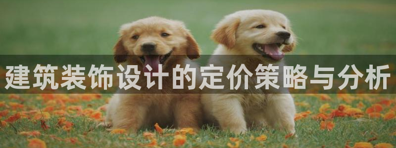 顺盈娱乐平台会黑人吗