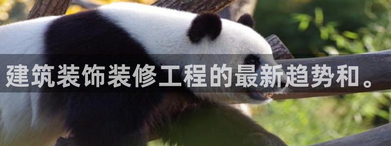 顺盈娱乐注册平台