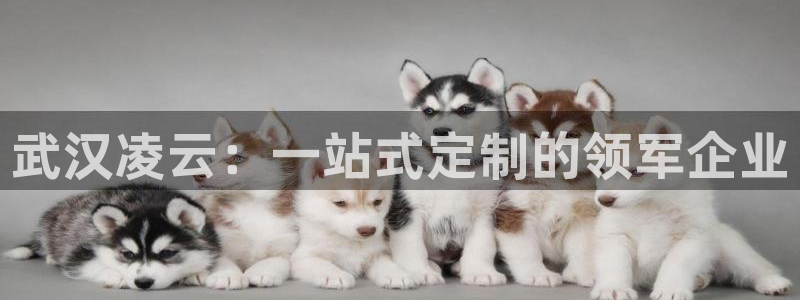 顺盈娱乐注册平台