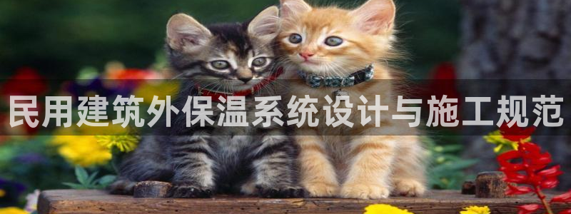 顺盈娱乐代理怎么样了啊