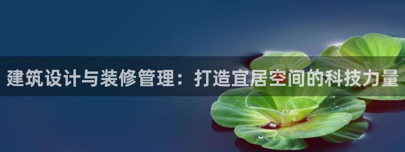 顺盈娱乐姜333OO