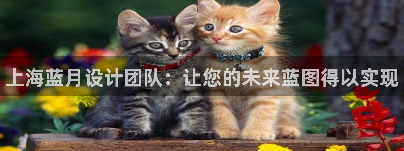 顺盈娱乐下载最新版