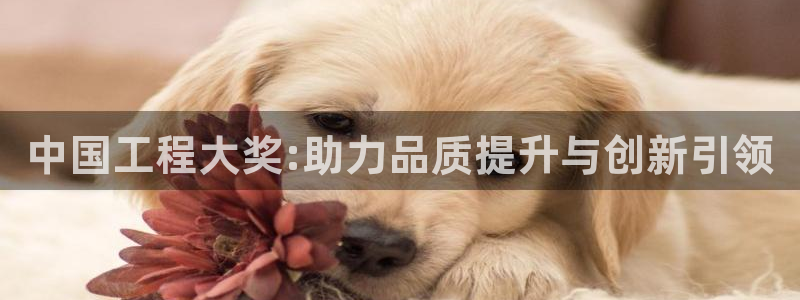 顺盈娱乐注册平台官网