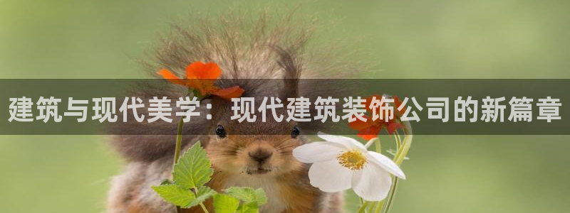 顺盈娱乐下载安装官方版