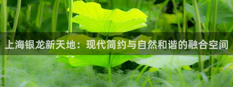 顺盈娱乐痛333OO