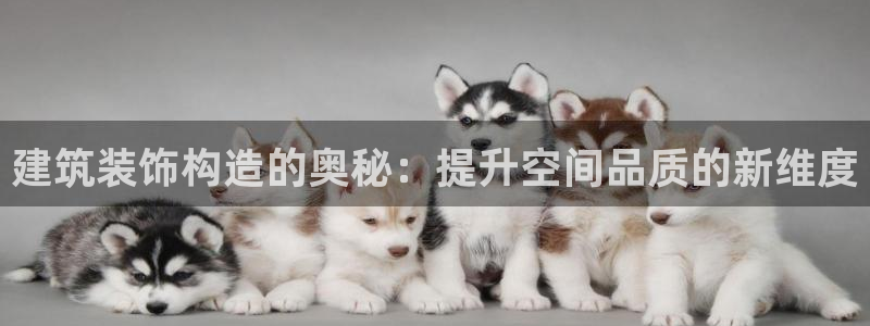 顺盈娱乐最高代理是谁