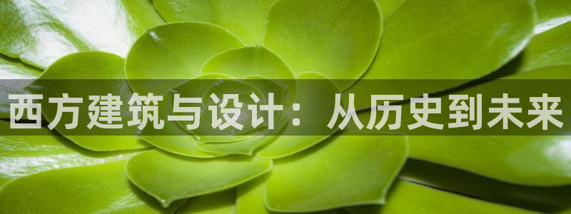 优盈娱乐耐顺63390