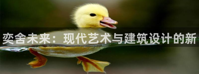 顺盈娱乐平台官网电话