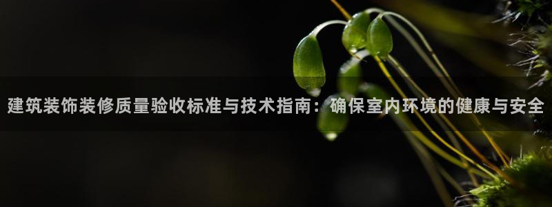 顺盈娱乐直究7276O