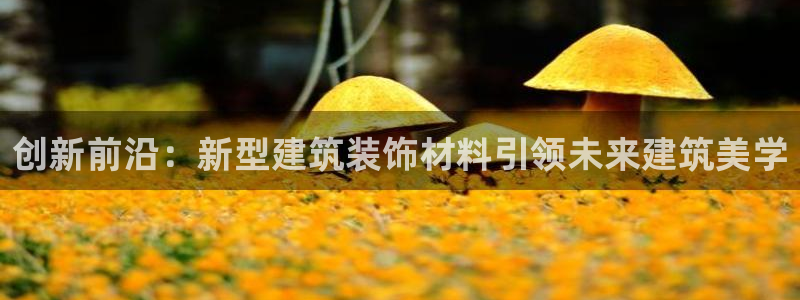 顺盈娱乐棋牌怎么样啊