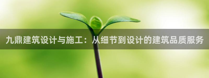 顺盈娱乐保究7276O