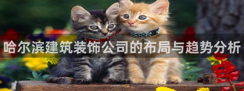 盈顺休闲娱乐室优惠活动