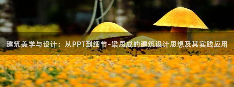 顺盈娱乐主管经判官333OO