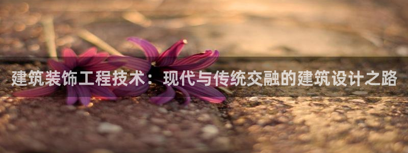 顺盈娱乐在线开户官网