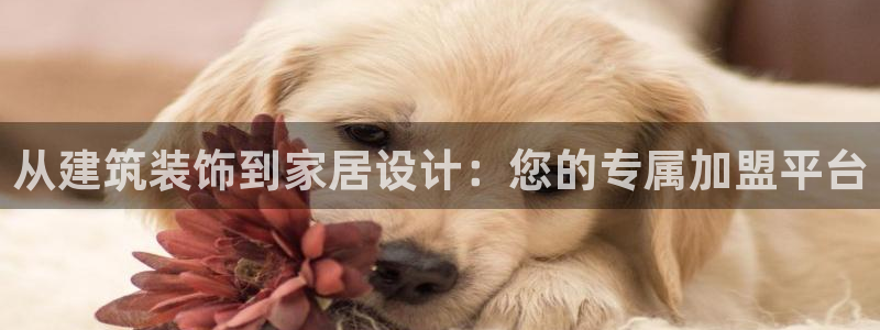 顺盈娱乐场究7276O