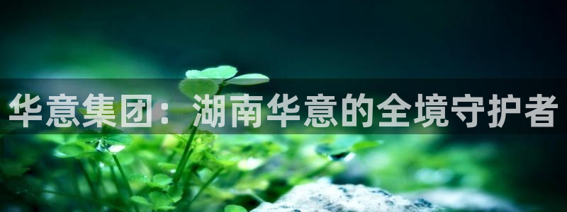 顺盈娱乐找527b.cn升哥