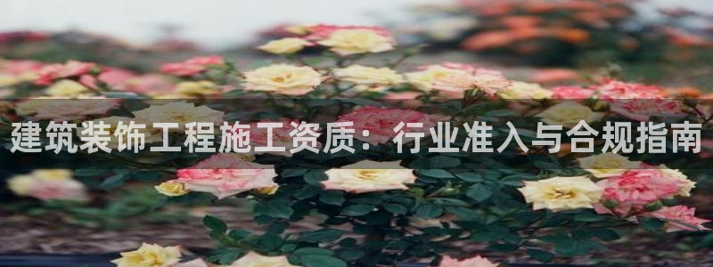 顺盈娱乐指究7276O