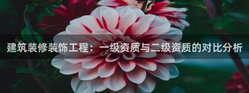 顺盈娱乐是什么福彩