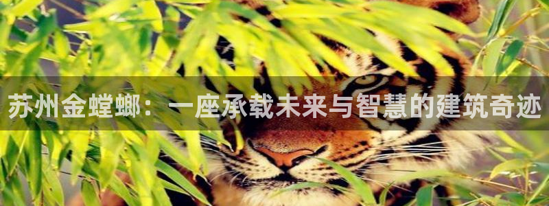 顺盈2娱乐382223